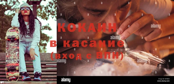 гашик Гусев